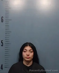 Booking photo from Taylor County, Texas