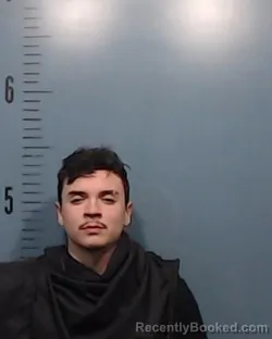 Mugshot of Leo Javier Hernandez Garza