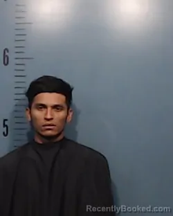Mugshot of Wilian Alexander Zepeda-Castillo