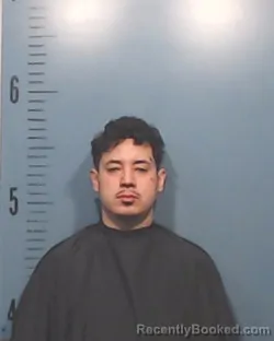 Mugshot of David Huerta Gallegos