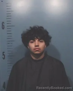 Mugshot of Jorge Andres Devora