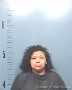 Mugshot of Cynthia Villarreal