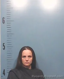 Mugshot of Amy Lynn Owens