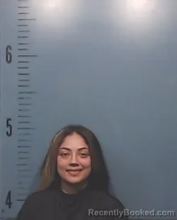 Mugshot of Adriana Ashley Portillo