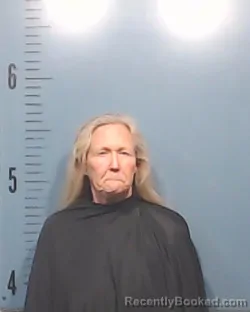 Mugshot of Susan Lynn Farmilo