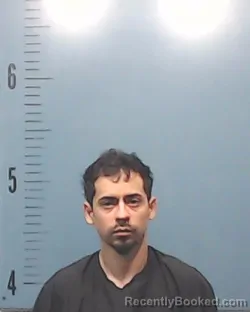 Mugshot of Luis Fernandez Valdez-Flores
