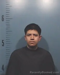 Mugshot of Osvaldo Antonio Zetino-Avelar booked in Taylor County, Texas on March 15, 2026