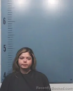 Mugshot of Diamantina Danielle Stokes booked in Taylor County, Texas on March 25, 2026