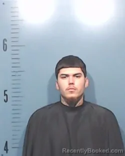 Mugshot of Robert Gene Schmittling booked in Taylor County, Texas on March 26, 2026