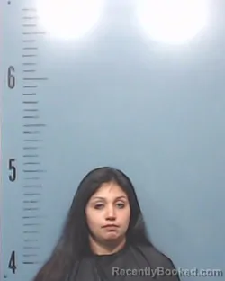 Mugshot of Jessica Marie Romero booked in Taylor County, Texas on March 29, 2026