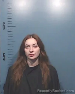 Mugshot of Kinsey Danae Sessums booked in Taylor County, Texas on April 4, 2026