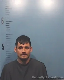 Mugshot of Ludin Ared Mejia-Ponce