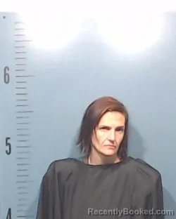Mugshot of Ashli Nicol Heil booked in Taylor County, Texas on April 20, 2026