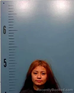 Mugshot of Erica Danielle Houston booked in Taylor County, Texas on May 10, 2026