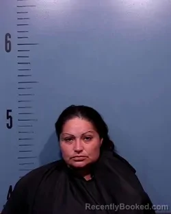Mugshot of Andrea Monique Rocha booked in Taylor County, Texas on June 8, 2026