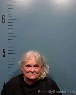 Mugshot of Virginia Ann Harris booked in Taylor County, Texas on June 28, 2026