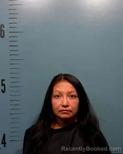 Mugshot of Brenda Marie Enjady booked in Taylor County, Texas on July 22, 2026