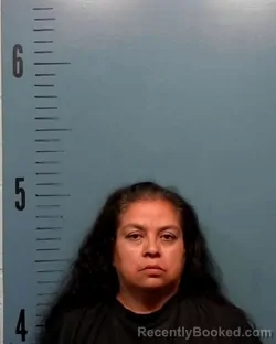 Mugshot of Michelle Lee Davis booked in Taylor County, Texas on July 23, 2026