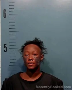 Mugshot of Harmony Sharee Sanders booked in Taylor County, Texas on August 6, 2026