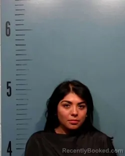 Mugshot of Rosa Isela Gonzalez booked in Taylor County, Texas on August 7, 2026