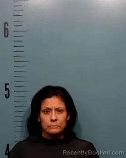Mugshot of Donna De Ann Alvineda Montez booked in Taylor County, Texas on August 11, 2026
