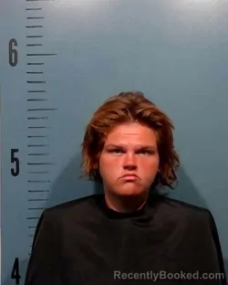 Mugshot of Harley Nicole Applewhite booked in Taylor County, Texas on August 16, 2026
