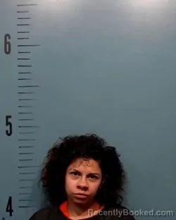 Mugshot of Dionne Nicole Warrick booked in Taylor County, Texas on August 29, 2026