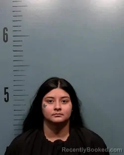 Mugshot of Destiny Salas booked in Taylor County, Texas on September 10, 2026