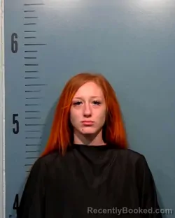 Mugshot of Tarrisa Nichole Norris booked in Taylor County, Texas on September 19, 2026