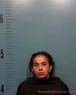 Mugshot of Adriana Josefa Garcia booked in Taylor County, Texas on September 25, 2026