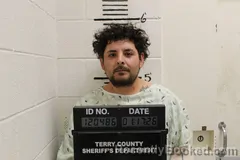 Mugshot of LUIS SOTO