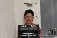 Mugshot of FELIX SALAS booked in Terry County, Texas on March 20, 2026