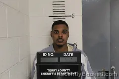 Mugshot of TAYQUNN PAYNE booked in Terry County, Texas on March 25, 2026