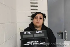 Mugshot of MERCEDES PHERGSON booked in Terry County, Texas on March 31, 2026