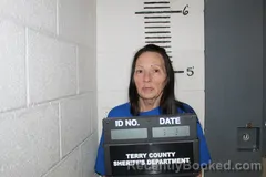 Mugshot of DORRIS PAYNE booked in Terry County, Texas on June 8, 2026