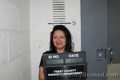 Mugshot of STEVIE NOMBRANA-JIMENEZ booked in Terry County, Texas on July 10, 2026