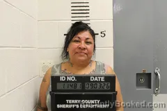 Mugshot of Norma Menchaca booked in Terry County, Texas on September 3, 2026