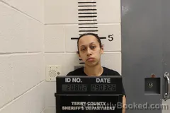 Mugshot of Crystan Castilleja booked in Terry County, Texas on September 3, 2026