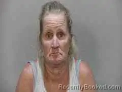 Mugshot of MELISSA DAMIS booked in Monroe County, Florida on June 3, 2026