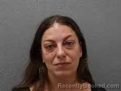 Mugshot of Amy Marie Fellhauer booked in Monroe County, Florida on July 27, 2026