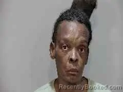 Mugshot of KIM DONNETTA HEARNS booked in Monroe County, Florida on July 2, 2026