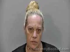 Mugshot of MISTY MARIE HOWARD booked in Monroe County, Florida on June 18, 2026