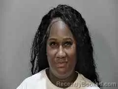 Mugshot of VERONICA ELAINE JOHNSON