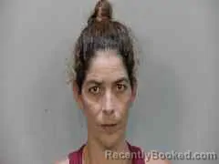 Mugshot of YANIELYS MASA SANTANA booked in Monroe County, Florida on May 29, 2026
