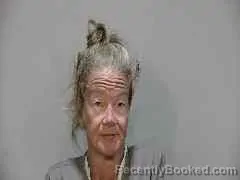 Mugshot of BRITTNY RAEROSE PINEGAR booked in Monroe County, Florida on July 4, 2026