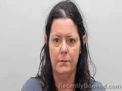 Mugshot of MICHELLE ADRAIN PULSIFER