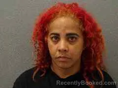 Mugshot of YANISLEY SUAREZ booked in Monroe County, Florida on April 11, 2026