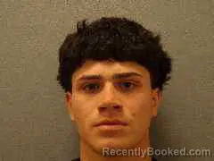 Mugshot of RYAN JOSHUA TORRES