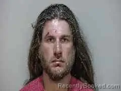 Mugshot of MAURICE COLE WILDES