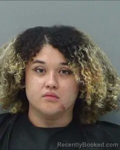 Mugshot of DANIEL FLORES